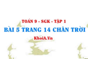 Bài 5 trang 14 Toán 9 Chân trời sáng tạo Tập 1